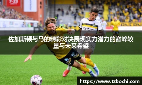 KS体育